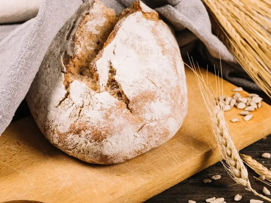 10 Proven Methods to Store Sourdough Starter for Maximum Freshness