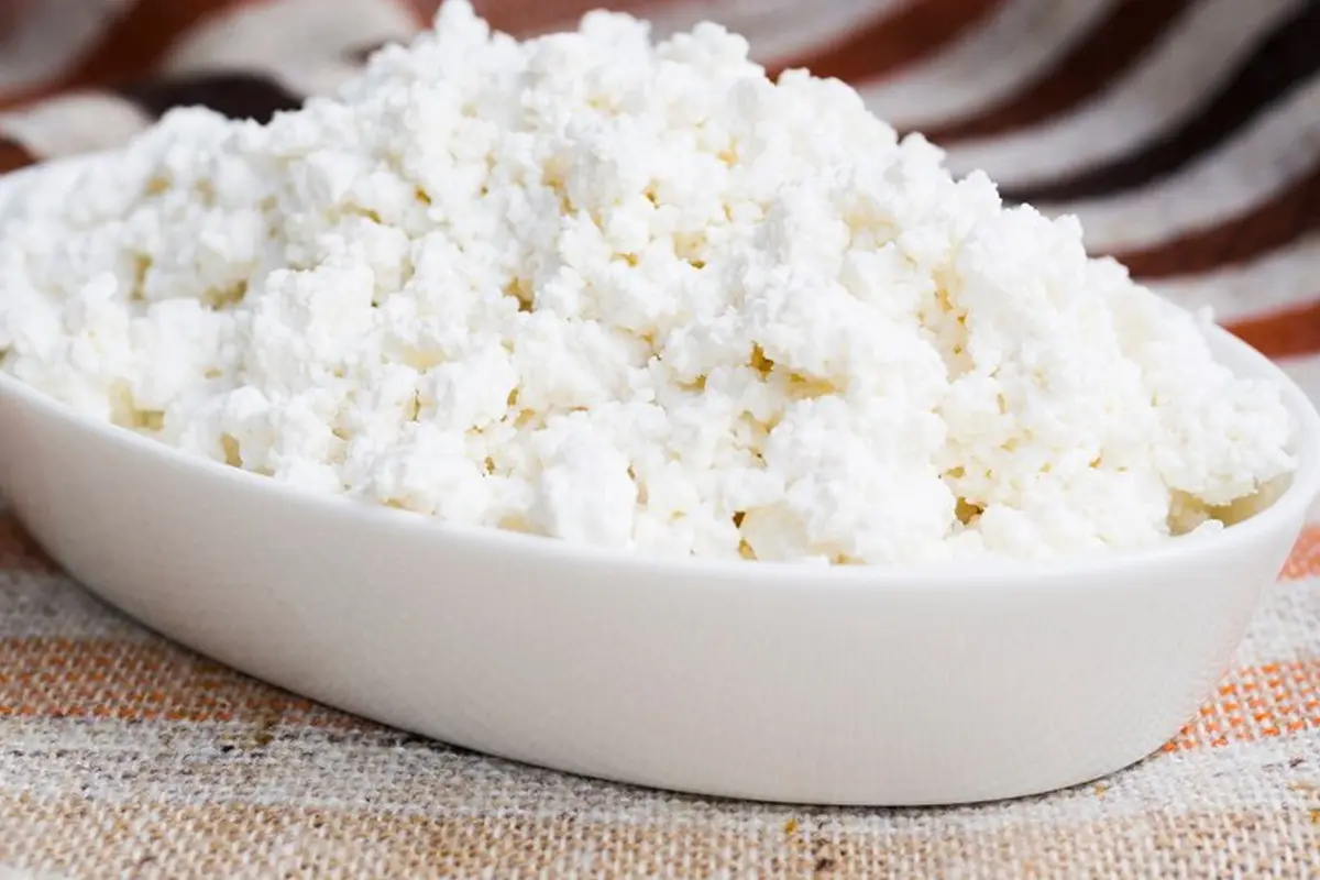 Cottage Cheese Recipes